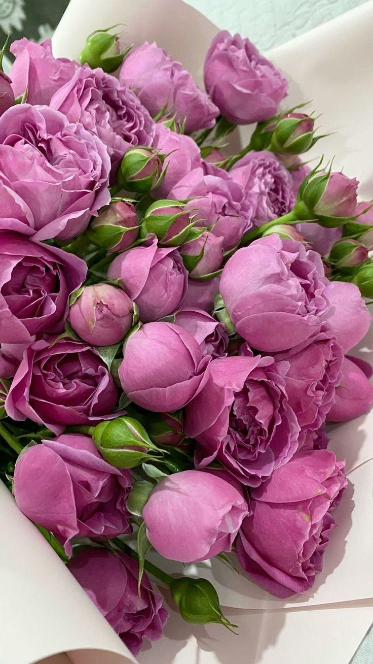 Corporate meeting room with carefully timed floral arrangements that maintain elegance throughout business hours